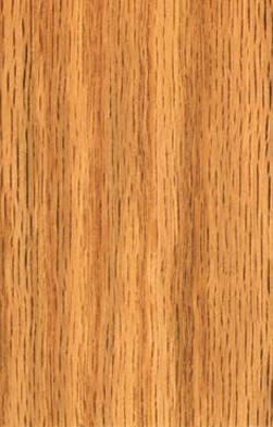 American red oak